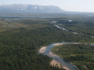 Click to Enlarge